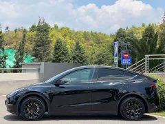 Tesla Model Y Long Range All-Wheel Drive - ფოტო 3