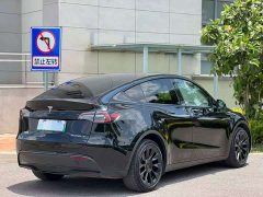 Tesla Model Y Long Range All-Wheel Drive - ფოტო 4