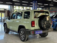 Tank 300 2021 City Edition 2.0T Stylish - ფოტო 13