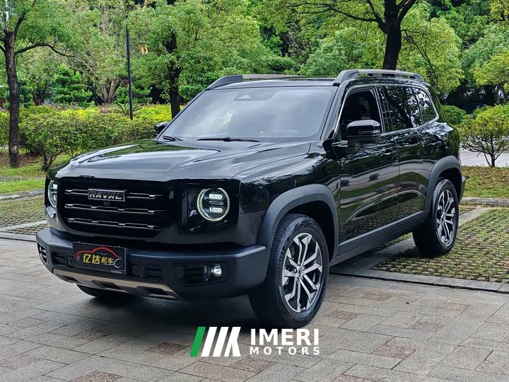 Great Wall Dachshund 1.5T DCT Two-Wheel Drive Border Collie Edition