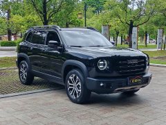 Great Wall Dachshund 2022 1.5T DCT Two-Wheel Drive Border Collie Edition - ფოტო 3
