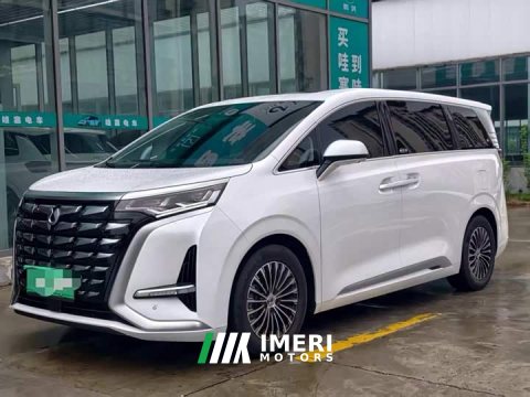 2025 Denza BYD Denza D9 2024 DM-i 1050 Premium - ავტომობილი ჩინეთიდან
