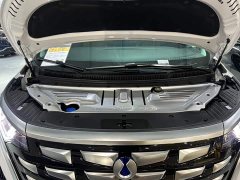 Denza BYD Denza D9 2024 DM-i 1050 Premium - ფოტო 19