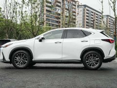 Lexus NX 2024 350h FWD Joyful Edition - ფოტო 7