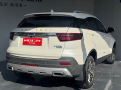 Ford Lingjie 2020 Lingjie S EcoBoost 145 CVT Platinum Edition - ფოტო 6