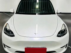 Tesla Model Y Long Range All-Wheel Drive - ფოტო 2