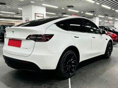 Tesla Model Y Long Range All-Wheel Drive - ფოტო 3