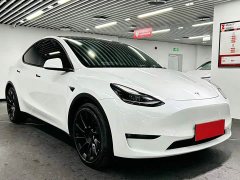 Tesla Model Y Long Range All-Wheel Drive - ფოტო 4