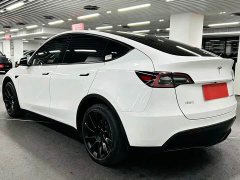 Tesla Model Y Long Range All-Wheel Drive - ფოტო 6