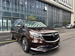 Buick GL8 ES Land Respect 653T Luxury - ფოტო 4