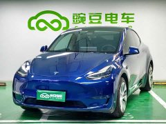 Tesla Model Y Long Range All-Wheel Drive - ფოტო 1