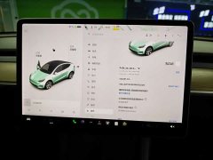 Tesla Model Y Long Range All-Wheel Drive - ფოტო 10