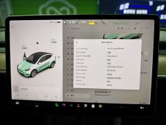 Tesla Model Y Long Range All-Wheel Drive - ფოტო 11