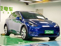 Tesla Model Y Long Range All-Wheel Drive - ფოტო 5