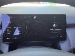 Xpeng P7 Long Range Max - ფოტო 10
