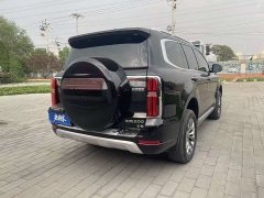 Tank 500 3.0T Sport Landscape 7-Seater - ფოტო 8