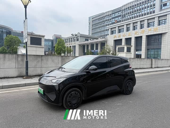 BYD Seagull 305km Freedom Edition - ავტომობილი ჩინეთიდან