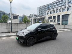 BYD Seagull 305km Freedom Edition - ფოტო 1