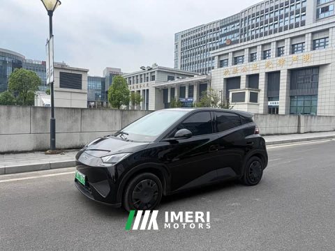 2025 BYD Seagull 305km Freedom Edition - ავტომობილი ჩინეთიდან