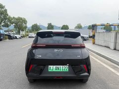 BYD Seagull 305km Freedom Edition - ფოტო 8