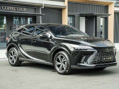 Lexus RX 2025 300 AWD Premium Edition - ფოტო 3