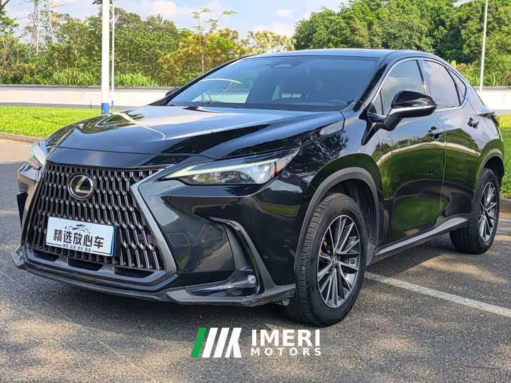 Lexus NX 260 FWD Joyful Edition - ავტომობილი ჩინეთიდან