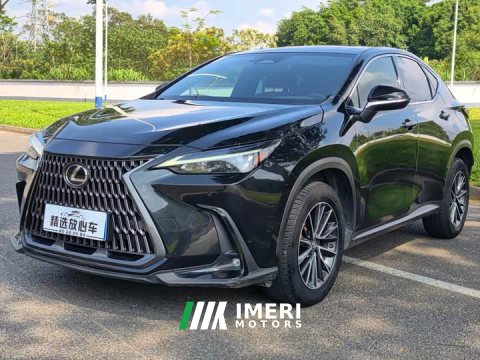 2022 Lexus NX 260 FWD Joyful Edition - ავტომობილი ჩინეთიდან