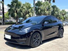 Tesla Model Y 2023 Long Range All-Wheel Drive - ფოტო 1