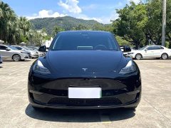 Tesla Model Y 2023 Long Range All-Wheel Drive - ფოტო 2