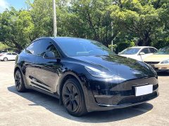 Tesla Model Y 2023 Long Range All-Wheel Drive - ფოტო 3