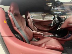 McLaren GT 4.0T Standard - ფოტო 10