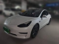 Tesla Model 3 Standard Range RWD Upgrade 3D6 - ფოტო 1
