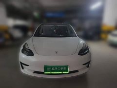 Tesla Model 3 Standard Range RWD Upgrade 3D6 - ფოტო 2