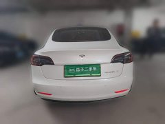 Tesla Model 3 Standard Range RWD Upgrade 3D6 - ფოტო 3
