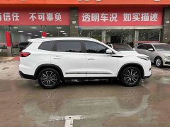 Chery Tiggo 8 PRO Champion Edition 290T Two-Wheel Drive Radiant Edition 5-Seater - ფოტო 4
