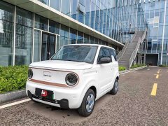 Geely Panda 2024 Panda Mini 200km Endurance Edition - ფოტო 1