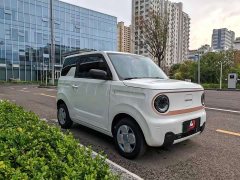 Geely Panda 2024 Panda Mini 200km Endurance Edition - ფოტო 3