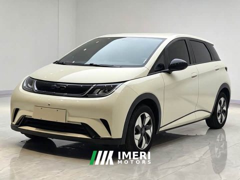 2025 BYD Dolphin 420km Freedom Edition - ავტომობილი ჩინეთიდან