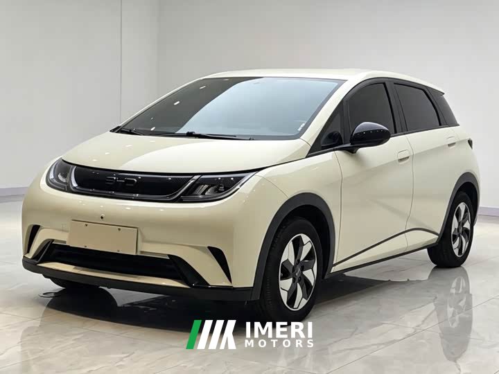 BYD Dolphin 420km Freedom Edition