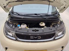 BYD Dolphin 420km Freedom Edition - ფოტო 12