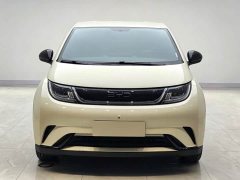 BYD Dolphin 420km Freedom Edition - ფოტო 2