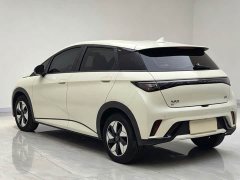 BYD Dolphin 420km Freedom Edition - ფოტო 4