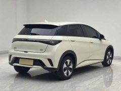 BYD Dolphin 420km Freedom Edition - ფოტო 5
