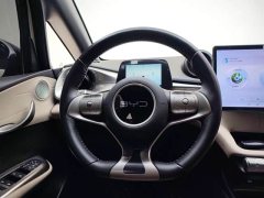 BYD Dolphin 420km Freedom Edition - ფოტო 8