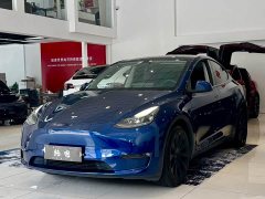 Tesla Model Y Long Range All-Wheel Drive - ფოტო 1
