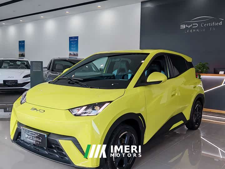 BYD Seagull 2023 Freedom Edition - ავტომობილი ჩინეთიდან