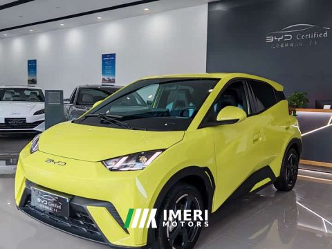 2024 BYD Seagull 2023 Freedom Edition - ავტომობილი ჩინეთიდან
