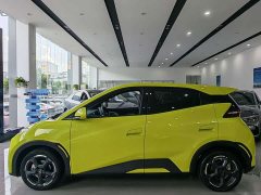 BYD Seagull 2023 Freedom Edition - ფოტო 10