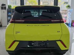 BYD Seagull 2023 Freedom Edition - ფოტო 12