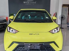 BYD Seagull 2023 Freedom Edition - ფოტო 2